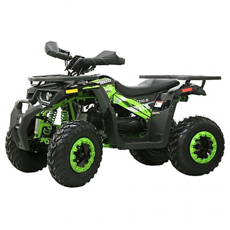 Adult Electric Start ATV, 200cc