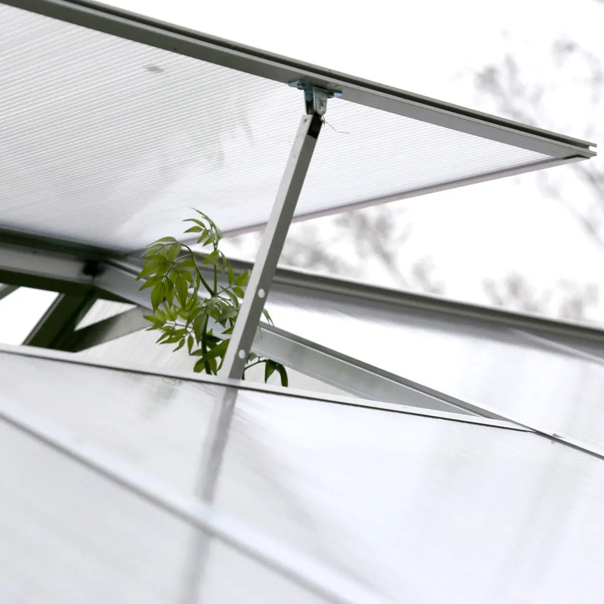 8′ x 20′ Aluminum Frame Greenhouse w/4 mm Twin Wall Polycarbonate Panels, UV Protected Panels, TMG-GH820