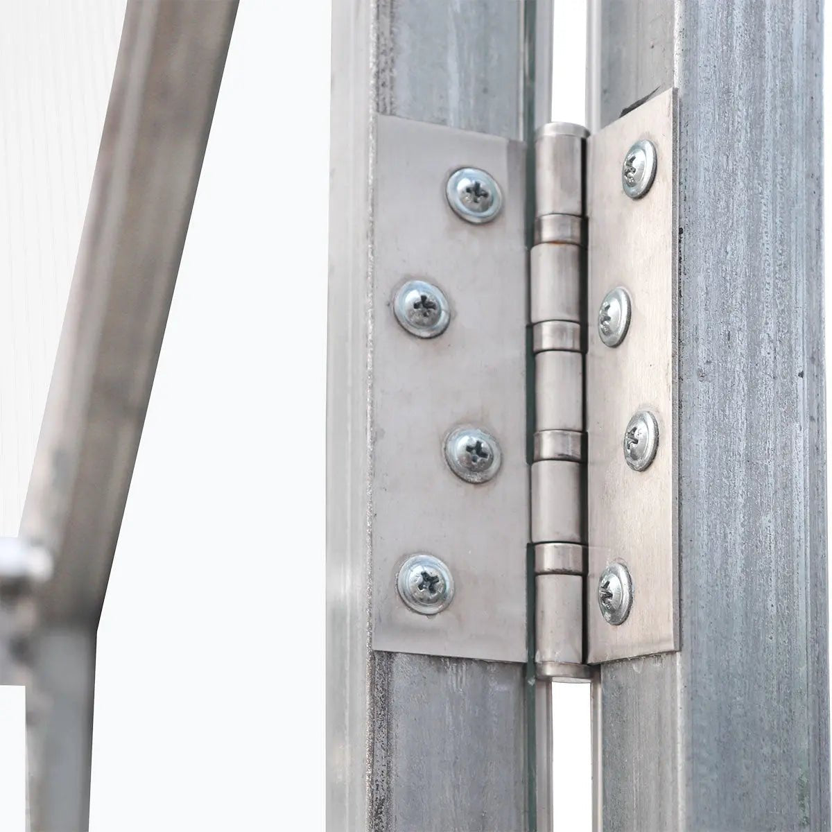 8′ x 20′ Greenhouse with Galvanized Steel Frame, Polycarbonate Twin-Wall Roof and Crystal-Clear Solid Walls TMG-GH821