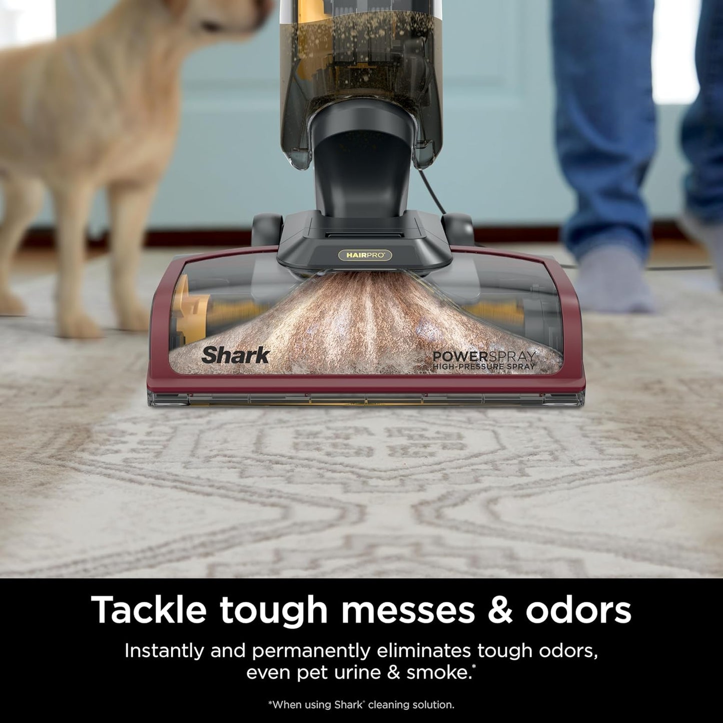 Shark CarpetXpert Carpet & Upholstery Cleaner with StainStriker, EX201