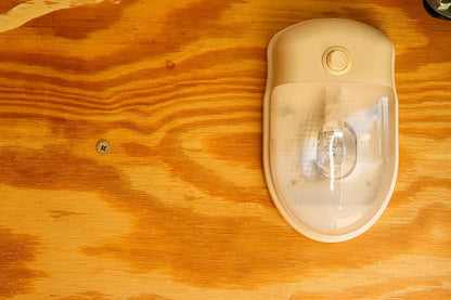 Big White Enclosed Trailer